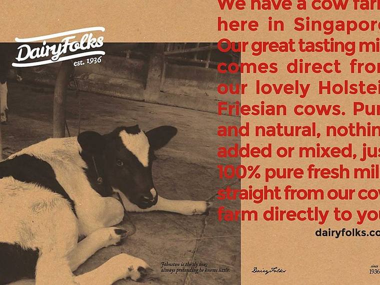 Detail pekerjaan Firefish untuk DairyFolks