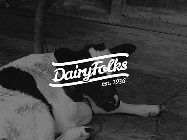 Pekerjaan branding Firefish untuk DairyFolks